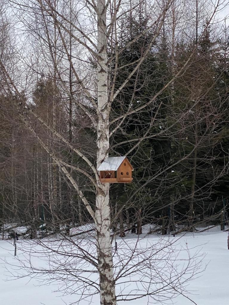 Hanna'S Hidden Haven Harghita-Bai Bilik gambar